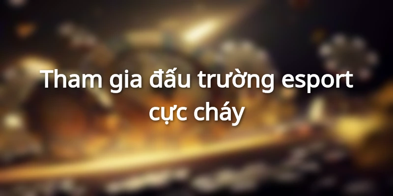 Tham gia đấu trường esport với nhiều trận đấu hấp dẫn
