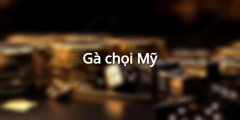 Gà chọi đẹp Mỹ