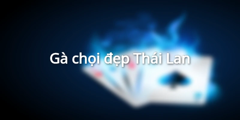 Gà chọi Thái Lan