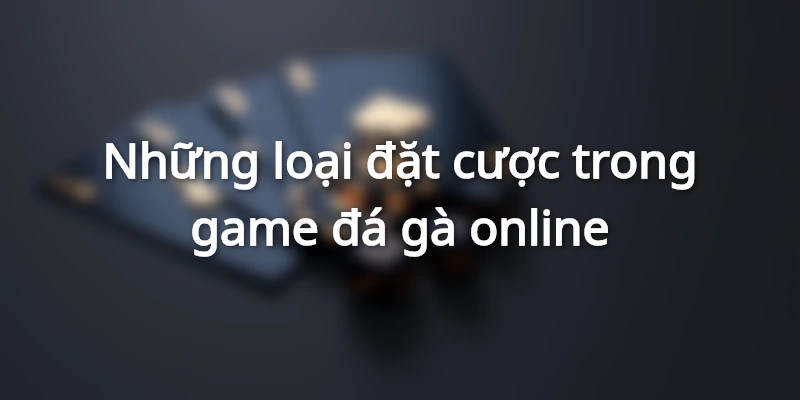 Những loại đặt cược