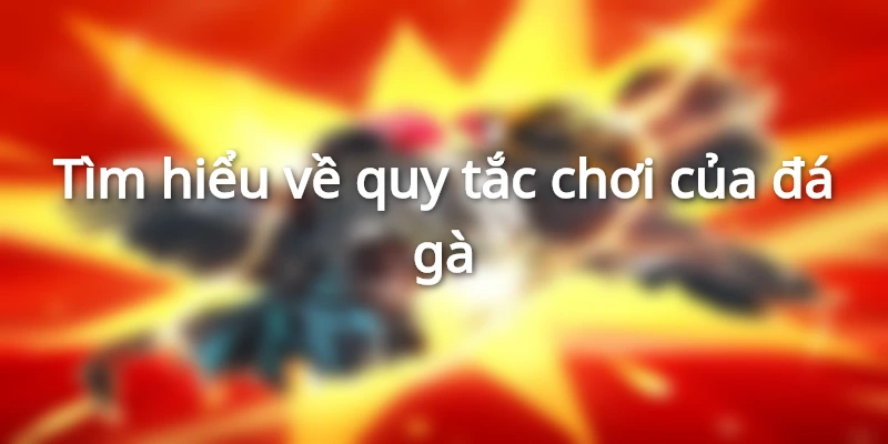 Những luật chơi thú vị trong đá gà cựa sắt mà anh em nên biết