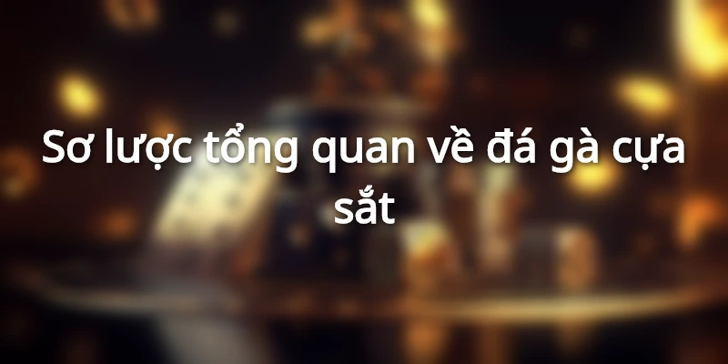 Kê chiến trang bị thêm cựa sắt để tăng sát thương